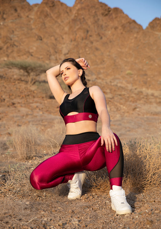 Polaris glossy with mesh sports leggings