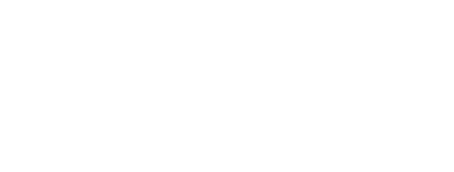 bonelement